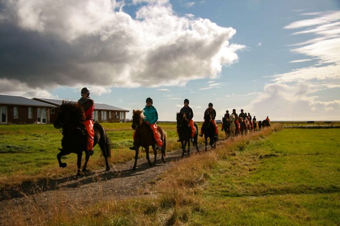 Island rundt i autocamper