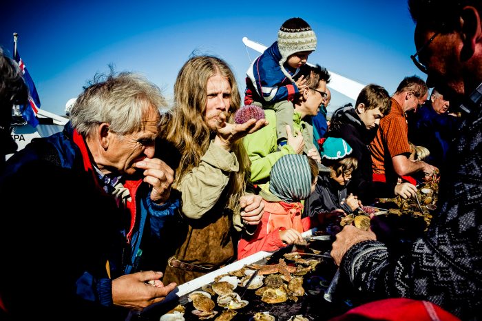 Syd- og Vestisland 8 dage kør selv ferie