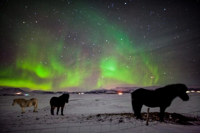 Nordlys i Island kør-selv 5 dage