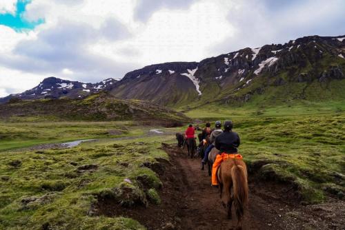Ridetur på islandske heste
