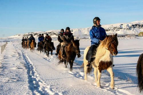 Rideferie om vinteren