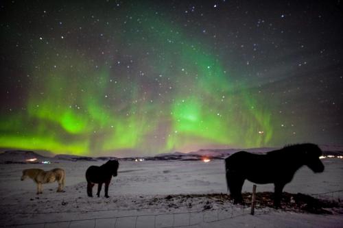 Nordlys og islændere