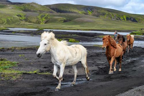 Rideferie i magiske Island