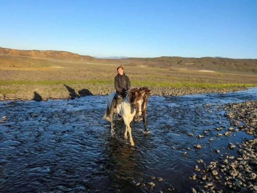 Ridetur på en islandsk hest